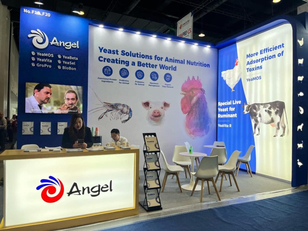 ILDEX Philippines Booth live