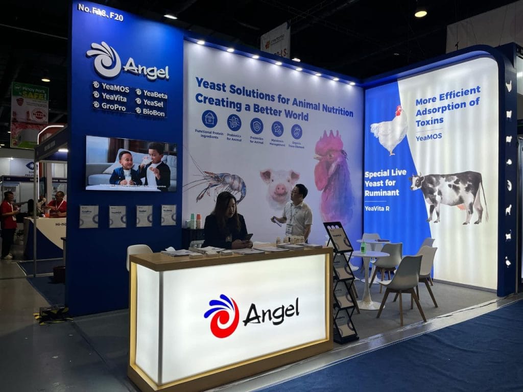 ILDEX Philippines Booth live 02